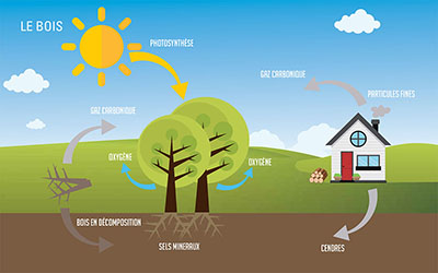 Le bois, énergie de chauffage renouvelable et écologique