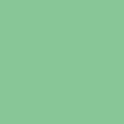 couleur verte menthe