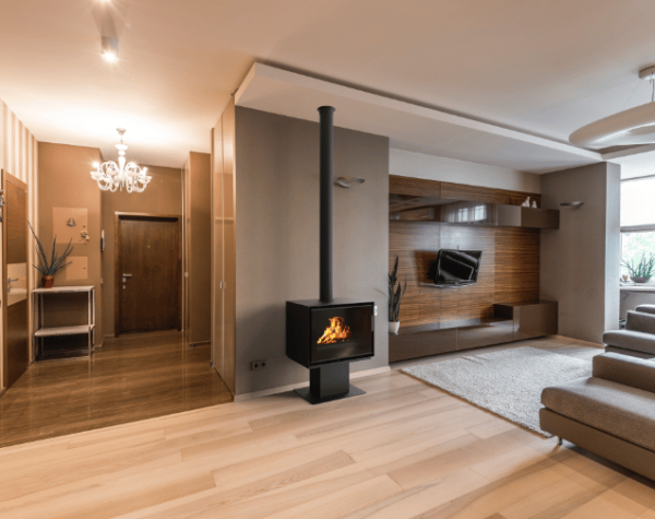 poele bois 800 P dans salon